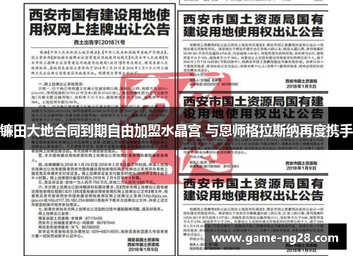 镰田大地合同到期自由加盟水晶宫 与恩师格拉斯纳再度携手