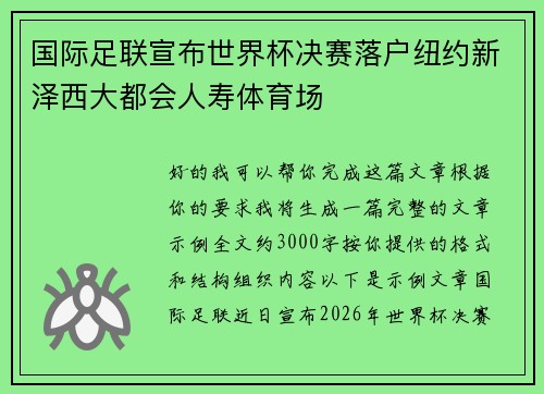 国际足联宣布世界杯决赛落户纽约新泽西大都会人寿体育场
